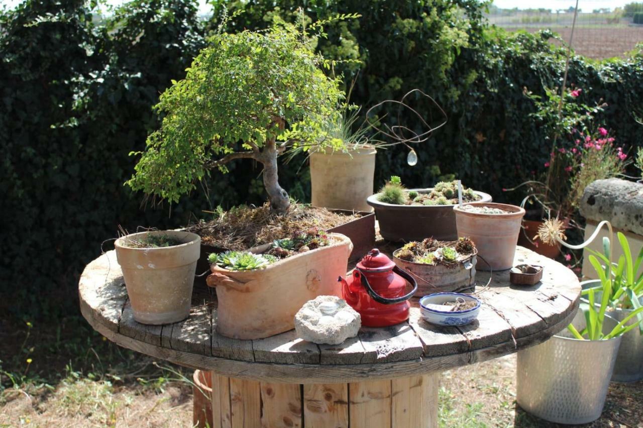 Giardino Della Moscatella Bed and Breakfast Altamura Buitenkant foto