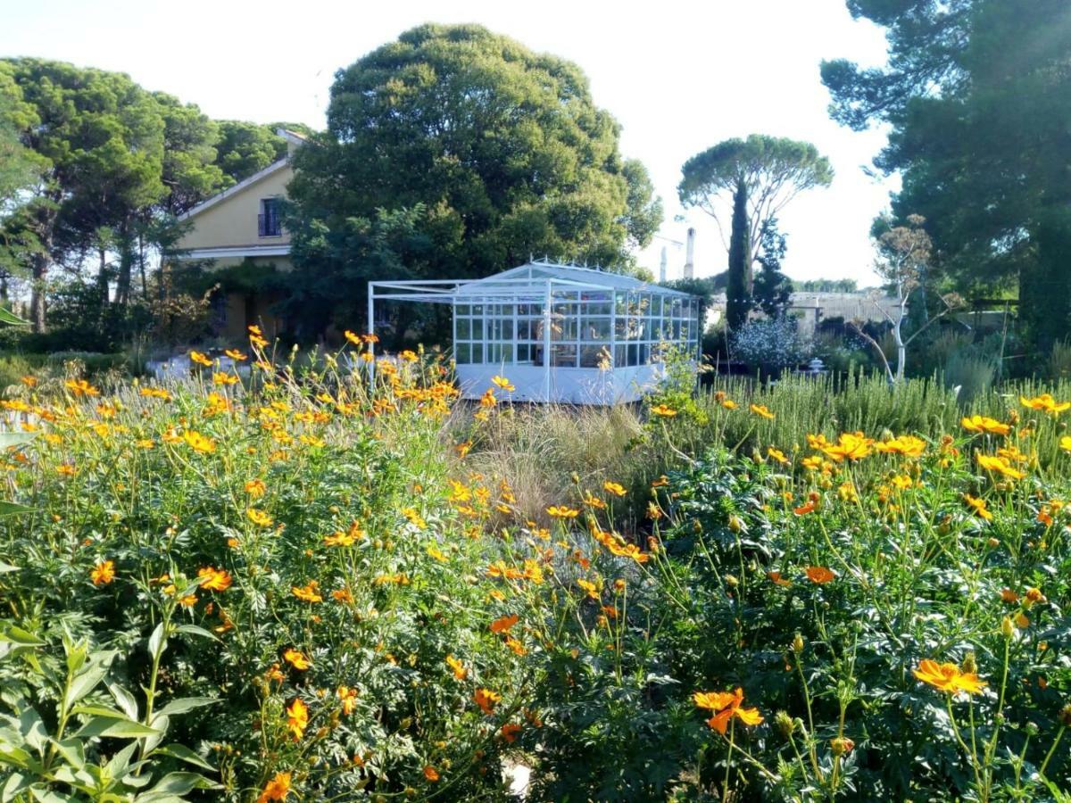 Giardino Della Moscatella Bed and Breakfast Altamura Buitenkant foto